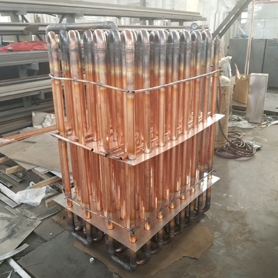 Le dessiccateur de gel de vide de durian de mangue de fraise Hericium fongueux répandent machine de séchage