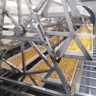 Un four plus sec de déshydrateur de mangue d'ananas de vide commercial de la micro-onde 24KW