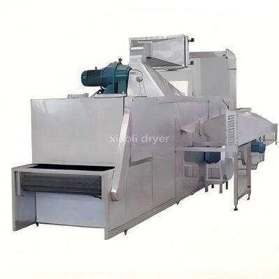 Série DW séchoir à bande de maille continue à couche unique machine de séchage industrielle pour la déshydratation des aliments