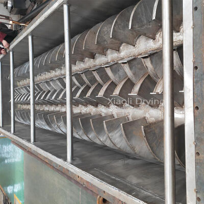 dessiccateur à palettes creuses pour traitement des aliments, équipement industriel très efficace