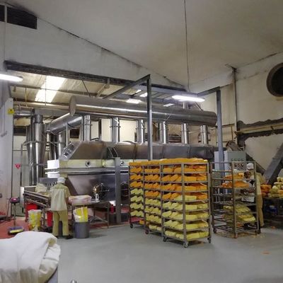 35-50kg/H vibrant le dessiccateur de chasseur bombardier à double capacité de fumarate de persulfate d'ammonium de dessiccateur à lit fluidisé