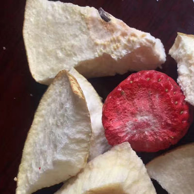 Dessiccateur de concombre de mer de fruit de machine de lyophilisation de vide de phytothérapie