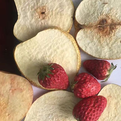 Pomme de terre Chips Drying Machine de PLC de dessiccateur de gel de vide de jacquier de fraise de yaourt