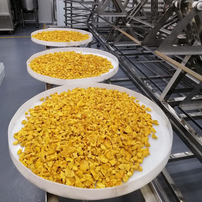 Étuve de micro-onde de vide de dessiccateur de fruits et légumes de refroidissement à l'air 9KW