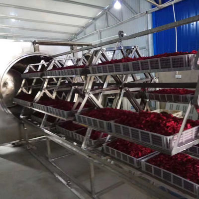 étuve de fruit d'acier inoxydable du déshydrateur 304 de vide de la micro-onde 38.4-48kg/H